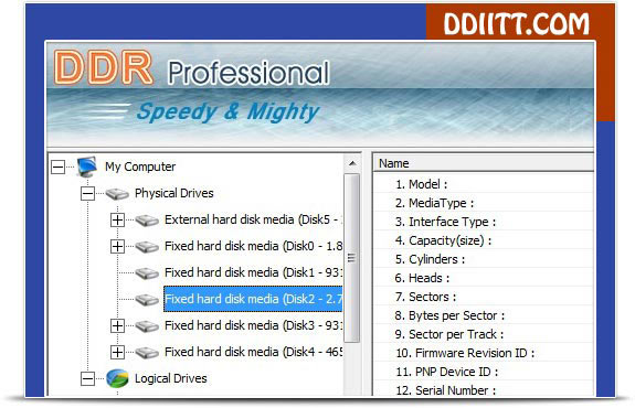 DDR Professional Data Recovery Software Screenshot